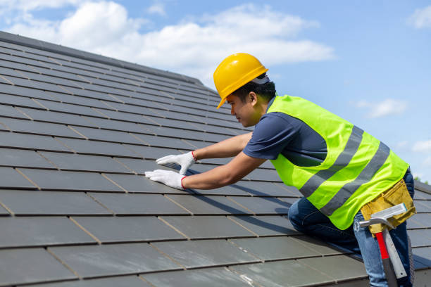 Best Roof Leak Repair  in North Muskegon, MI